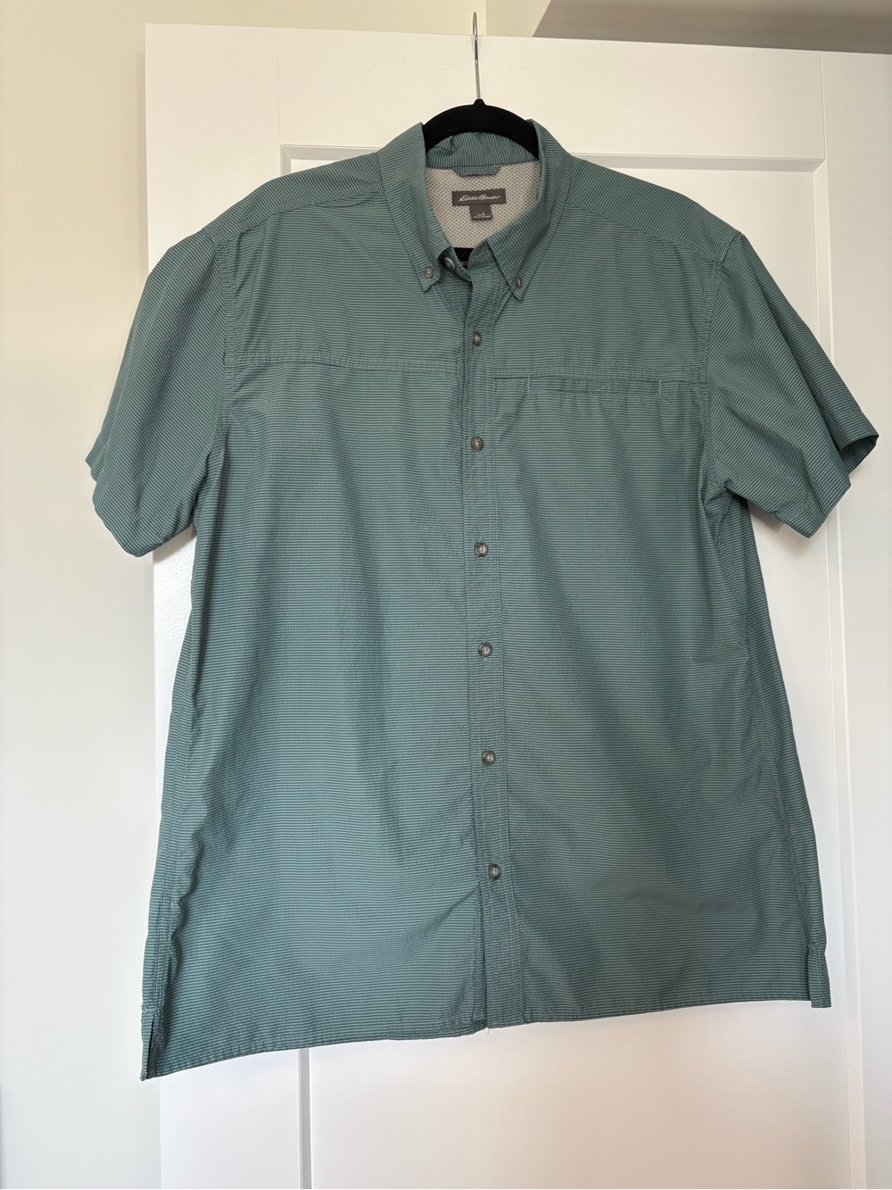 Eddie Bauer Men's Short-Sleeve Button-Down Shirt - Seafoam Green